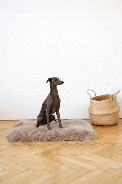 Square or Rectangular Natural Sheepskin Pet Mat - Greige-2